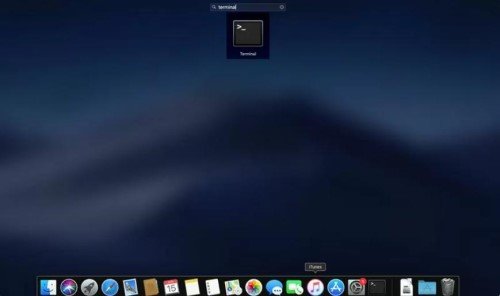 ejecutar terminal en el buscador