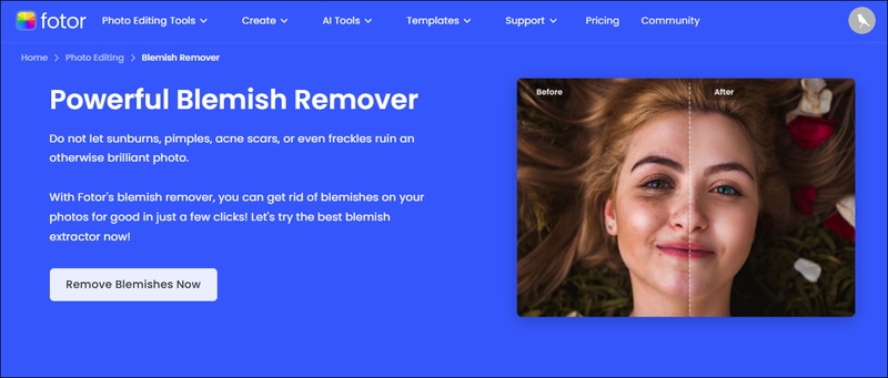 fotor face blemish remover